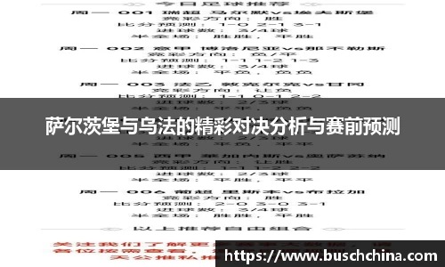 萨尔茨堡与乌法的精彩对决分析与赛前预测